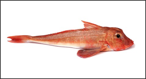 This image has an empty alt attribute; its file name is image-6.png