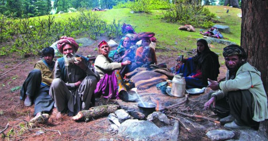 EXISTENCE OF GUJJARS AND BAKARWALS IN THE VALLEY – Kashmir RootStock