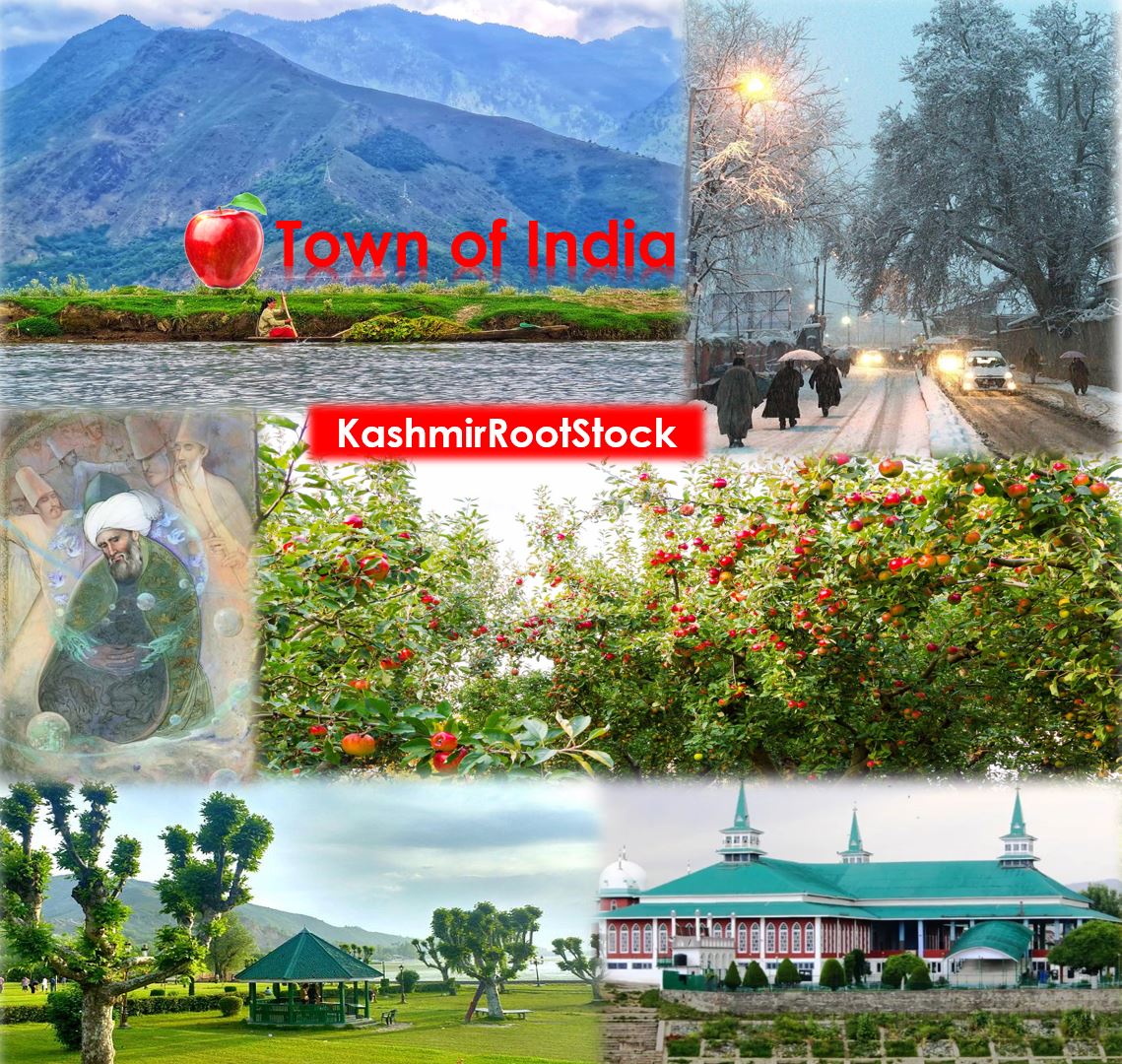 development of kashmir